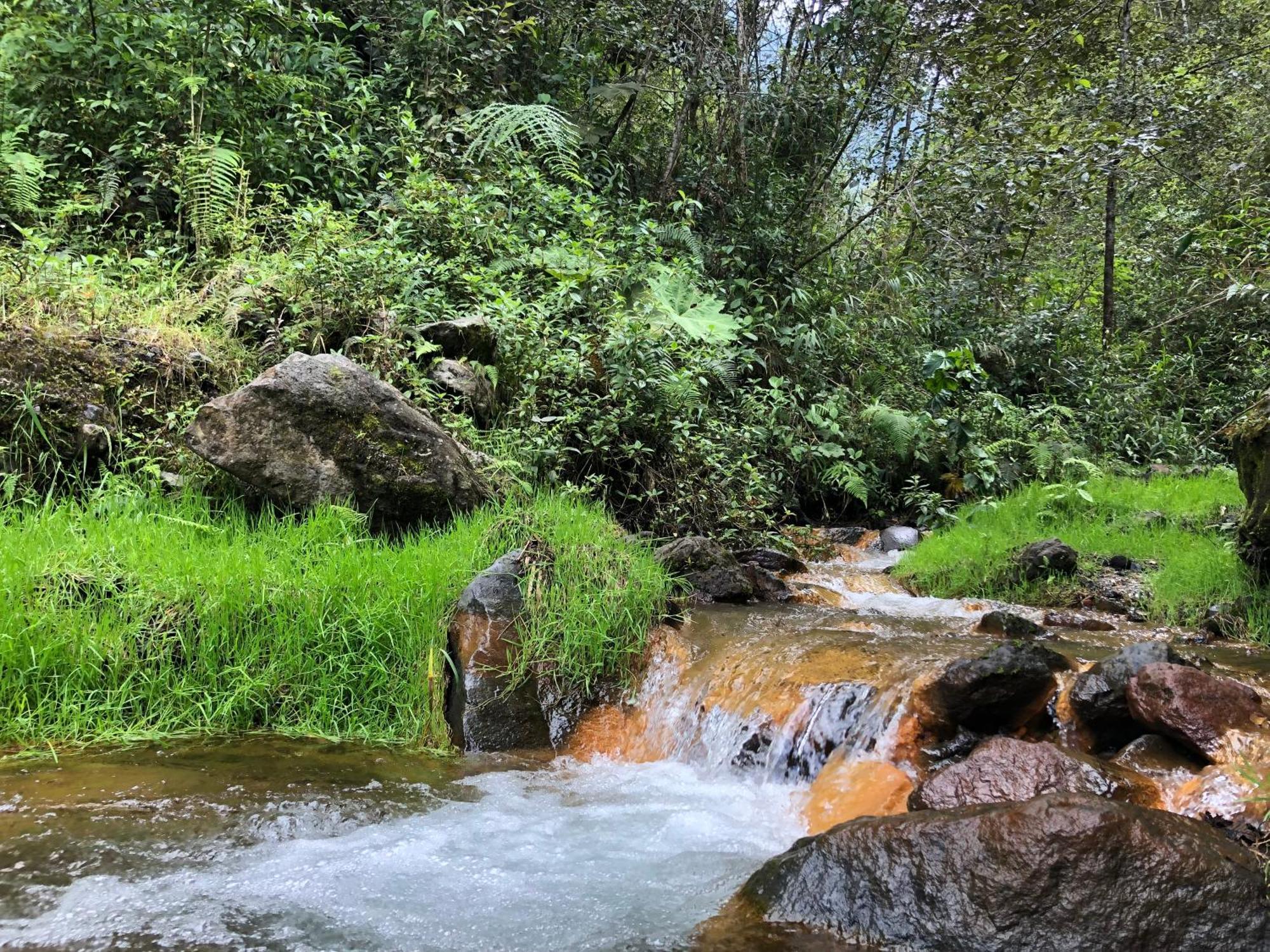 Mountain Chalet - Tungurahua Hot Springs/Aguas Termales بانيوس المظهر الخارجي الصورة